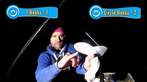 J Hooks vs Circle Hooks - Milford, January 2022