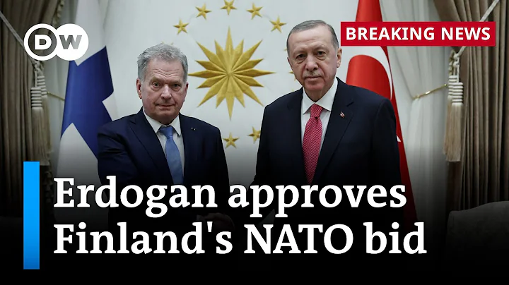 What keeps Erdogan from approving Sweden’s NATO application? | DW News - DayDayNews