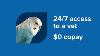 Checking with pet perks included. | Arvest