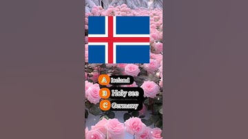 Guess the country flag quiz challenge. #quiz