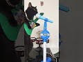 This is meow... you remind me. 🐈🎥: Romeo e as meninas