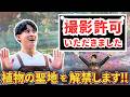 【1日じゃ回れない】木村植物園が想像以上だった｜観葉植物・花・野菜・サウナまで全部ある thumbnail