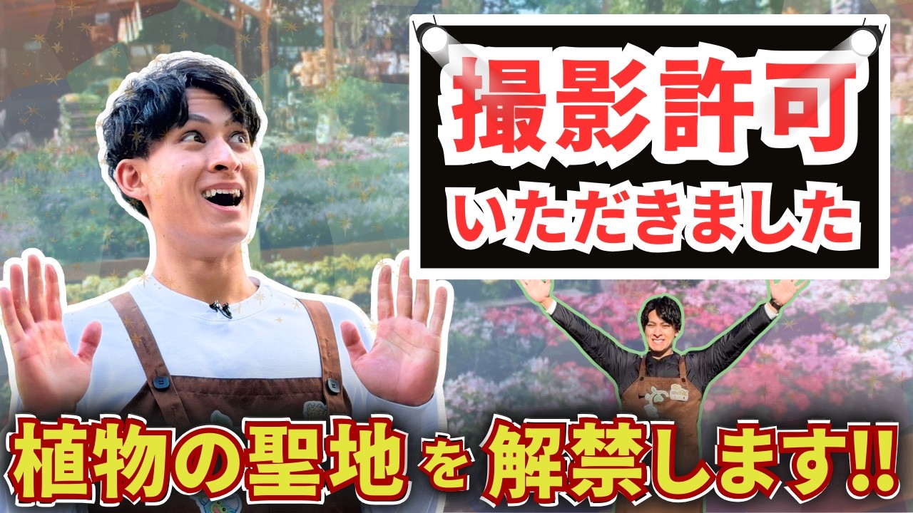 【1日じゃ回れない】木村植物園が想像以上だった｜観葉植物・花・野菜・サウナまで全部ある