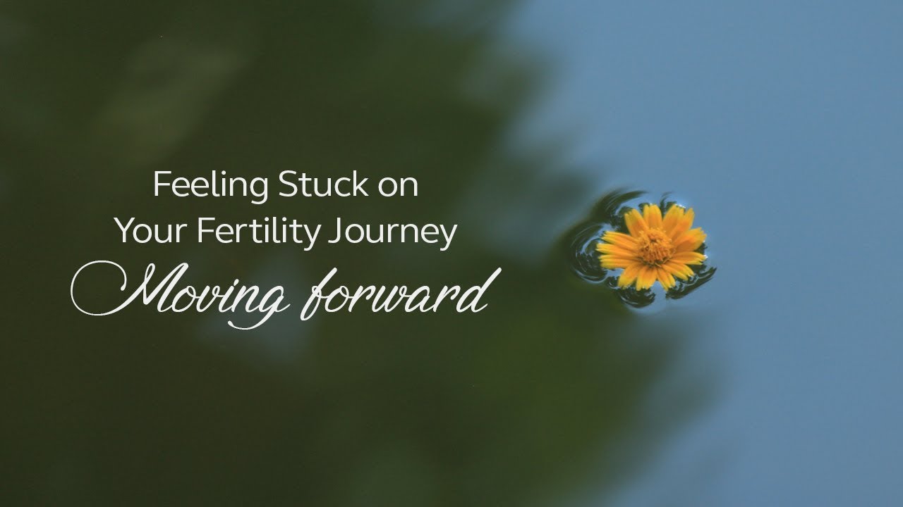 Feeling Stuck on Your Fertility Journey - Moving forward