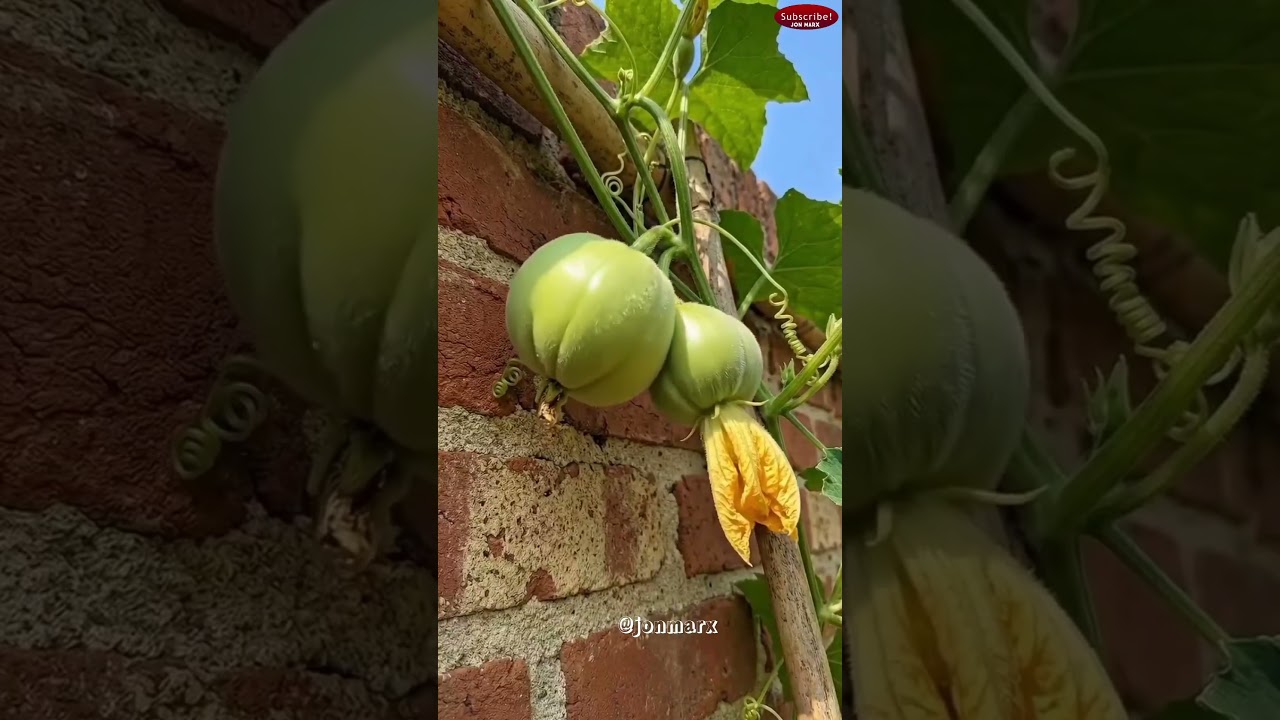 how can you explain it 🤔💔 