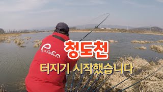 2022.3.23청도천 터지기 시작했습니다