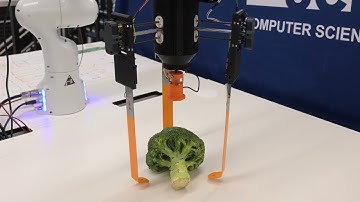 Reinforcement Learning Grasping with Force Feedback from Modelling of Compliant Fingers