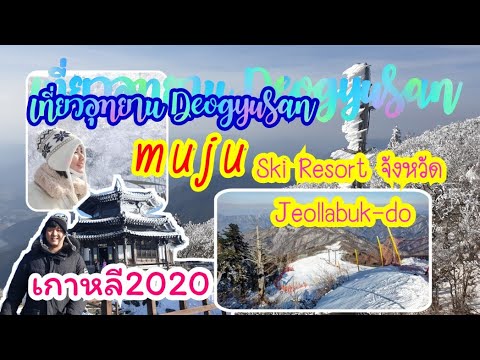 Korea vlong : สถานที่ห้ามพลาด2020 เที่ยวมูจู สกี รีสอร์ต |Muju เที่ยวเกาหลีแบบฟินๆ |  นั่งเคเบิลคาร์