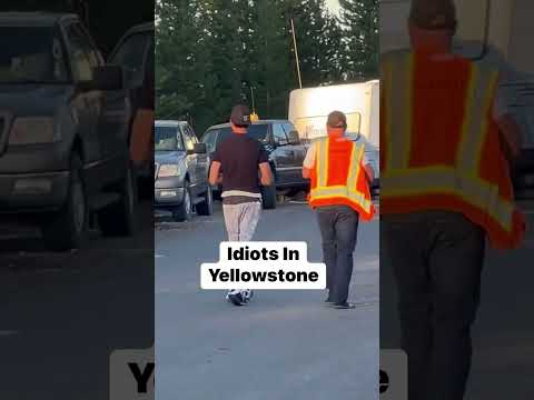 Invasion of Idiots in Yellowstone #yellowstonenationalpark