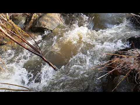 Video: Himaalajalt Leitud Surnud Vesi! - Alternatiivne Vaade