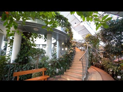 Видео: Засаждане на растения в оранжерии и оранжерии
