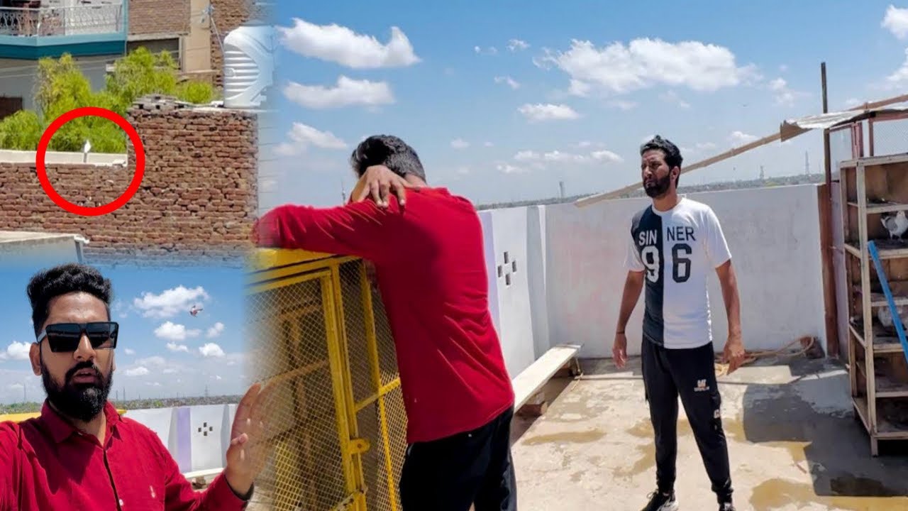 5 Moroo wala Aseel kabutar nikal gya 🥺🥲