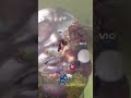 Yeet montage clip