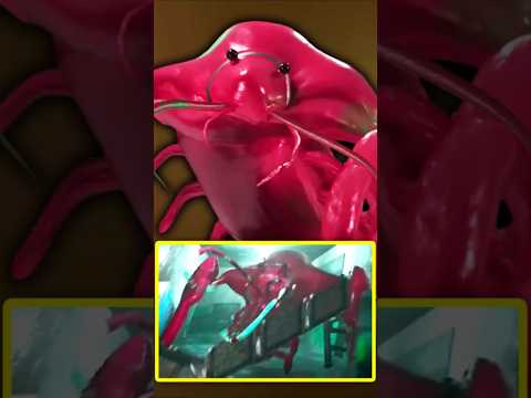 Garten Of Banban 8 BRAND NEW OFFICIAL CHARACTER REVEALED Clawrenzo 