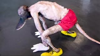 картинка: Секреты, Которые Скрывает Диснейленд