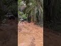 Thats how you floor it | Land Cruiser HZJ75 4x4 Off-Road Overland Expedition Jungle Adventure