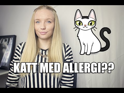 Video: Hudbetændelse På Grund Af Allergi (atopi) Hos Katte