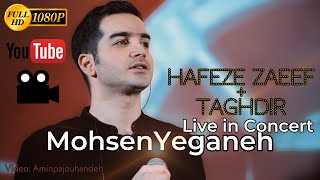 Mohsen Yeganeh - concert - hafeze zaeef + taghdir - محسن یگانه اجرا آهنگ های حافظه ضعیف و تقدیر