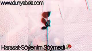 Harasat soyenim soymedi