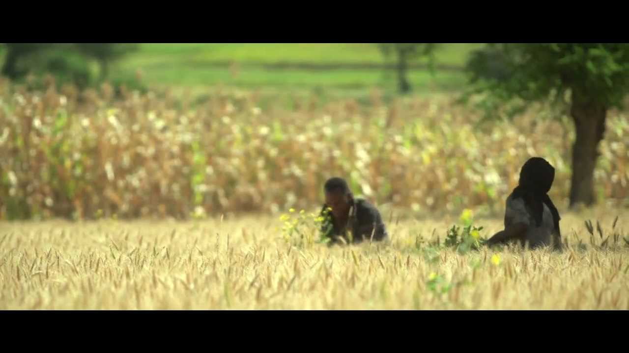 Seed for Business - Ethiopian farmers as entrepeneurs