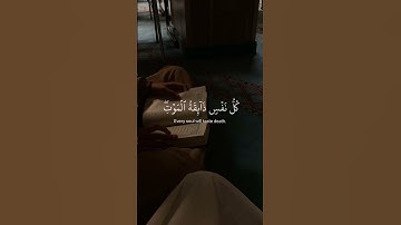 اجر لي ولكم سوره العنكبوت #ارح_قلبك #قران_كريم #🇵🇸#🇴🇲