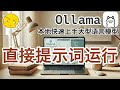 03. Ollama 构建本地大语言模型 - 直接提供提示词运行