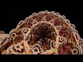 Taking Flight - Mandelbulb Fractal Flight (4k 60fps)