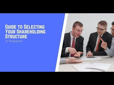 Guide To Selecting Your Shareholding Structure In Singapore