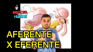 AFERENTE X EFERENTE