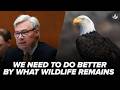 Trump budget cuts weaken our nation’s oldest conservation agency