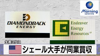 米シェール大手が同業買収　生産3位に【モーサテ】（2024年2月13日）