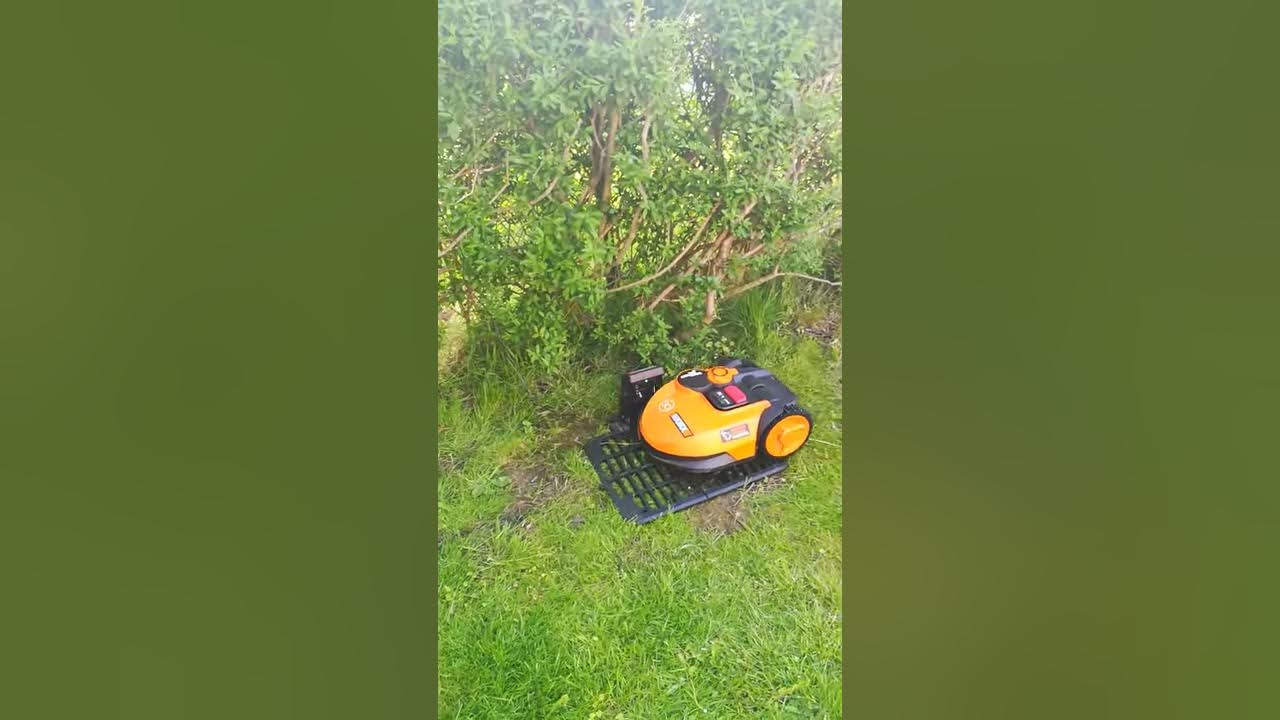 Worx Landroid s450 fährt in die Ladestation YouTube