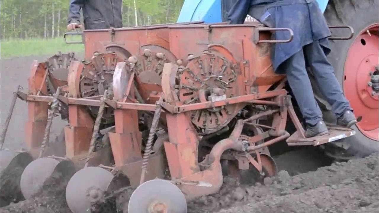 Увлекательный способ посадки картофеля. - YouTube