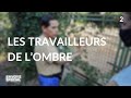 Envoy spcial les travailleurs de lombre  jeudi 7 janvier 2021 france 2