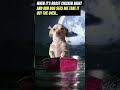 Dog on roast chicken night boat memes meme dog titanic myheartwillgoon roastchicken cutedog