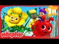 Fantastic Flower Power Race! | Animals for Kids | Funny Cartoons | Learn about Animals