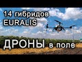 14 гибридов подсолнечника от Euralis. Опрыскивание дронами.