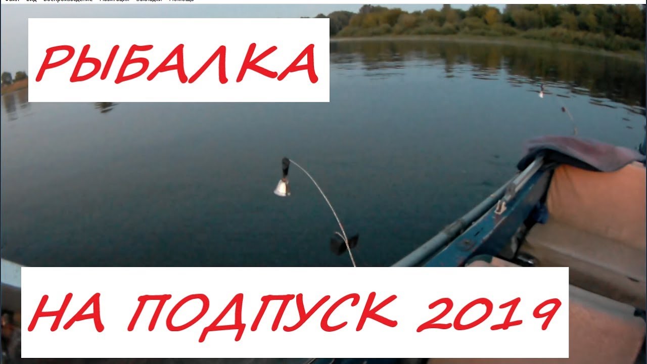 Тур на волгу рыбалка