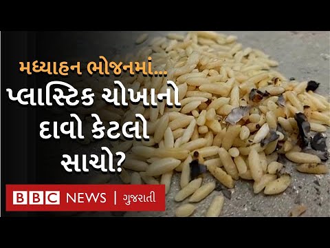 ગુજરાતની સ્કૂલોમાં Plastic Rice અપાયા હોવાનો દાવો કેટલો સાચો? જાણો પ્લાસ્ટિક ચોખાની હકીકત