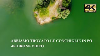 ABBIAMO TROVATO LE CONCHIGLIE IN PO  I  DRONE 4K VIDEO  I  Parco Fluviale Isola Giarola