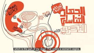 The Male Reproductive Organ- English Subtitles