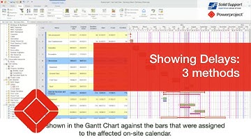 Showing Delays in Powerproject; 3 methods
