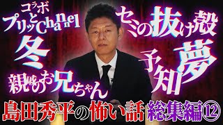 【総集編⑫】島田秀平の怖い話【プリッとChannelコラボ】【冬】【親戚のお兄ちゃん】【セミの抜け殻】【予知夢】【島田秀平のお怪談巡り】