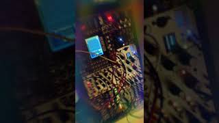 EEG into synth