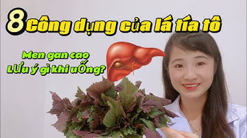 CÂY TÍA TÔ và 8 công dụng không ngờ tới. Có nên uống nước lá tía tô hàng ngày không? Trang Bio
