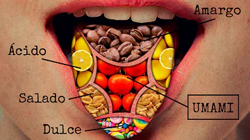 ¿Es el champiñón un umami?