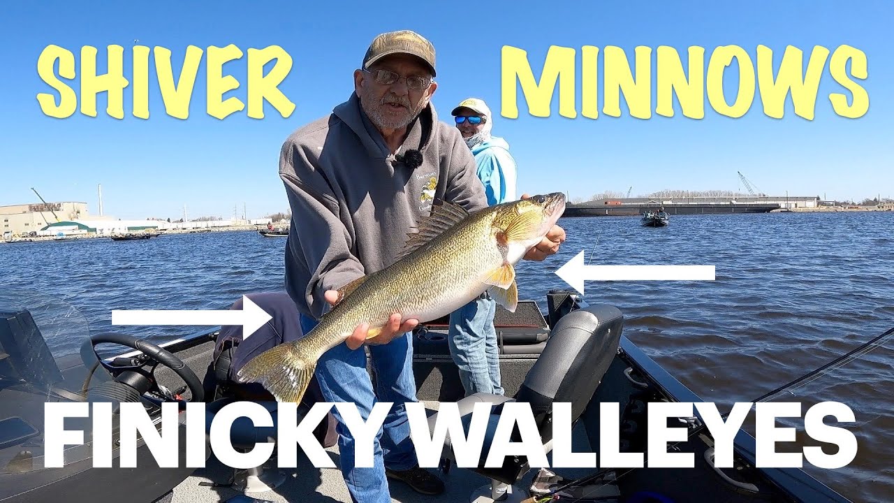SHIVER MINNOW ADJUSTMENTS FOR FINICKY WALLEYES!! 