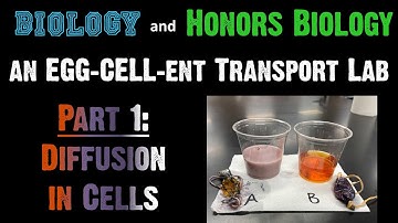 Transport Lab - Part 1: Diffusion in Cells
