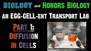 Transport Lab - Part 1: Diffusion in Cells