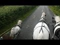 Carriage driving in company - training a pair of horses and a shetland.